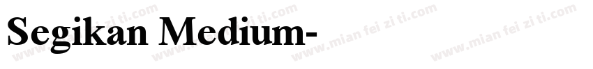 Segikan Medium字体转换